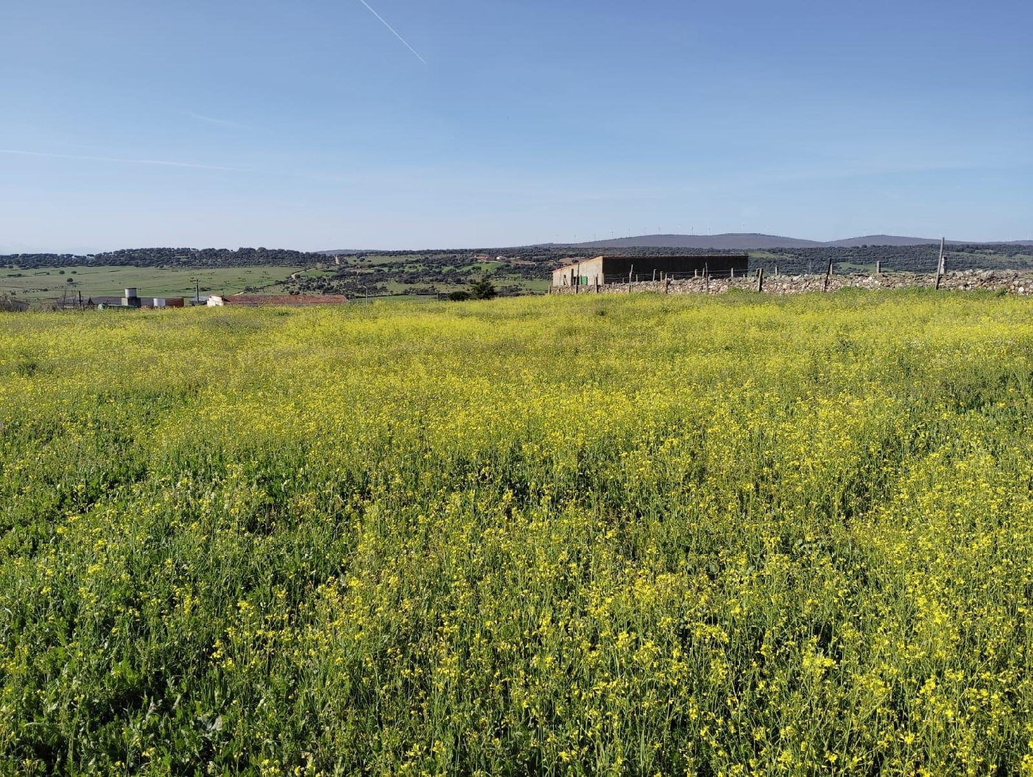  till salu radhus Segovia De Sacedón Campo De Salamanca 16