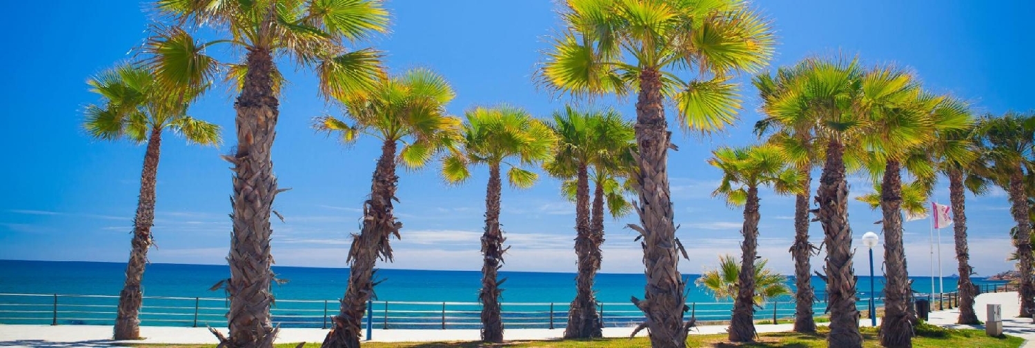  till salu villa Alameda Del Mar D-1 Baix Segura 6