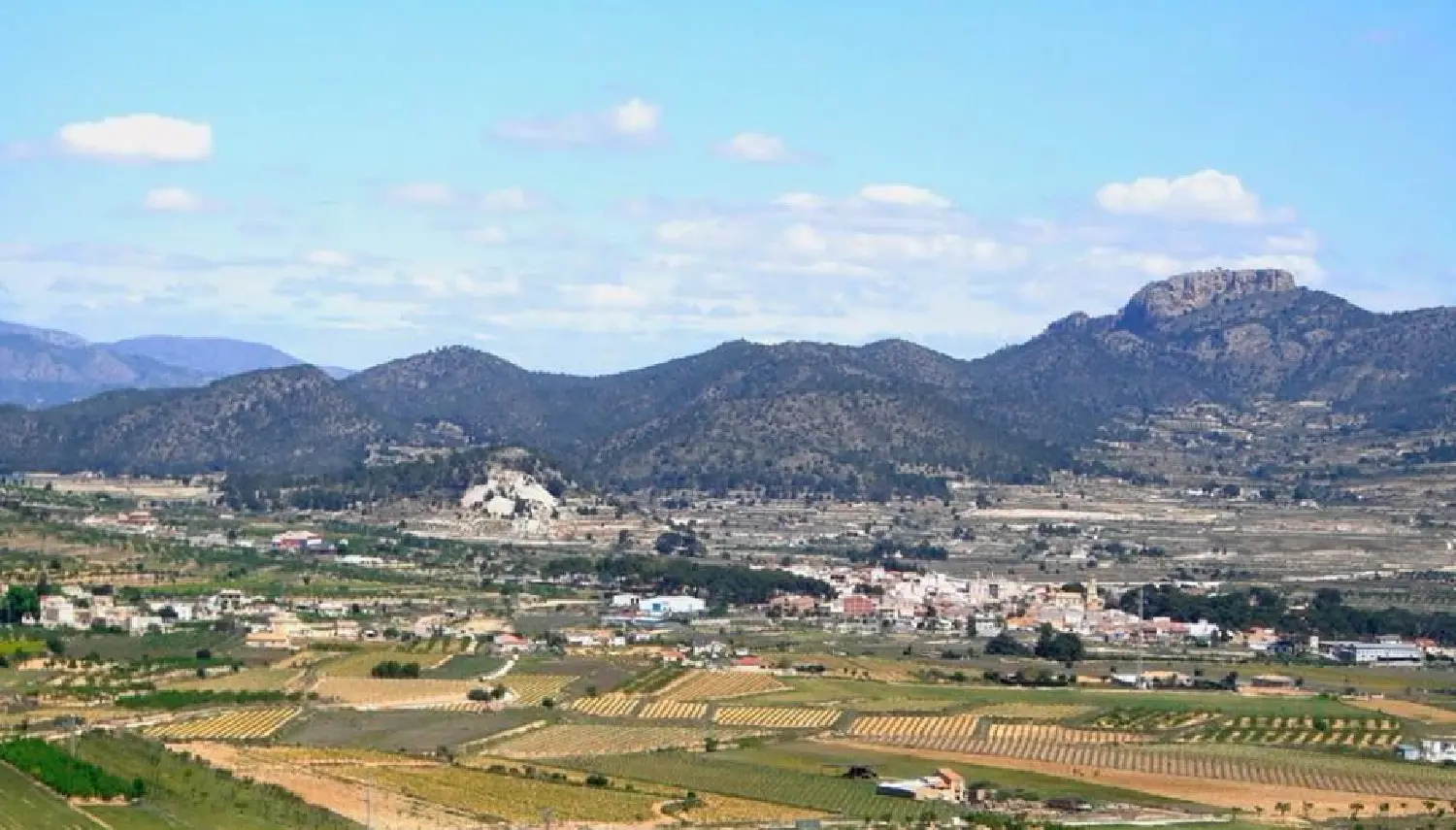  till salu villa La Romana Vinalopó Mitjà 23