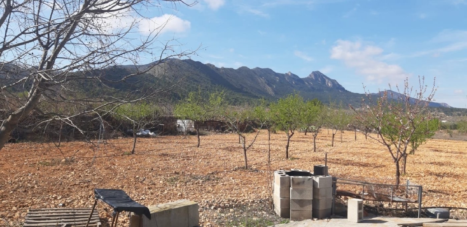  till salu villa Algayat Vinalopó Mitjà 4
