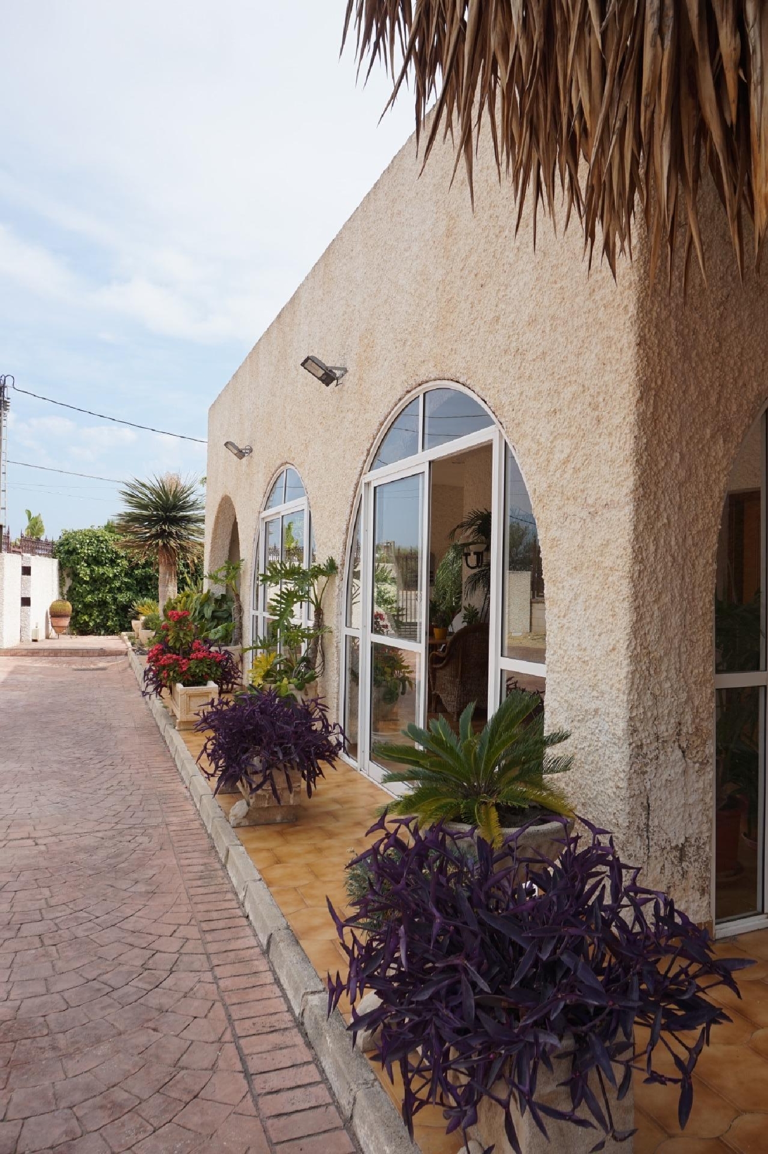  till salu villa Algoda-Matola Baix Vinalopó 6