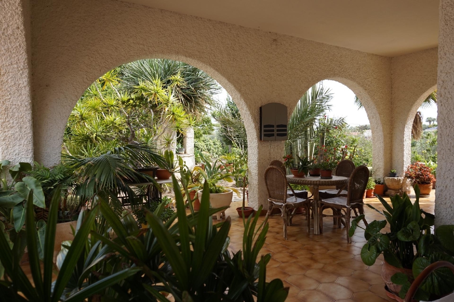  till salu villa Algoda-Matola Baix Vinalopó 8