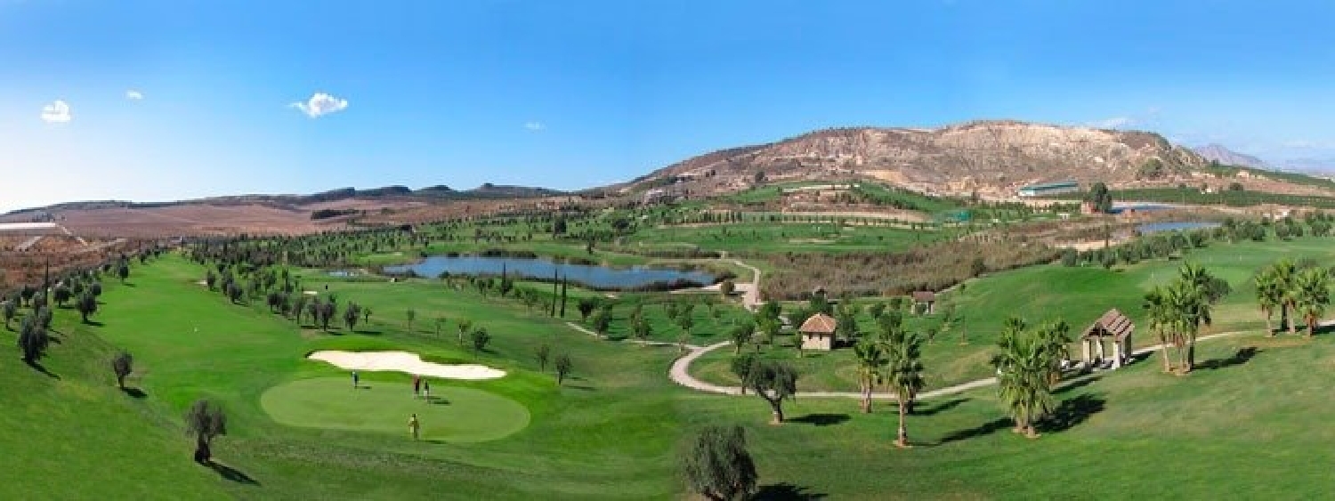  till salu villa Algorfa Baix Segura 16