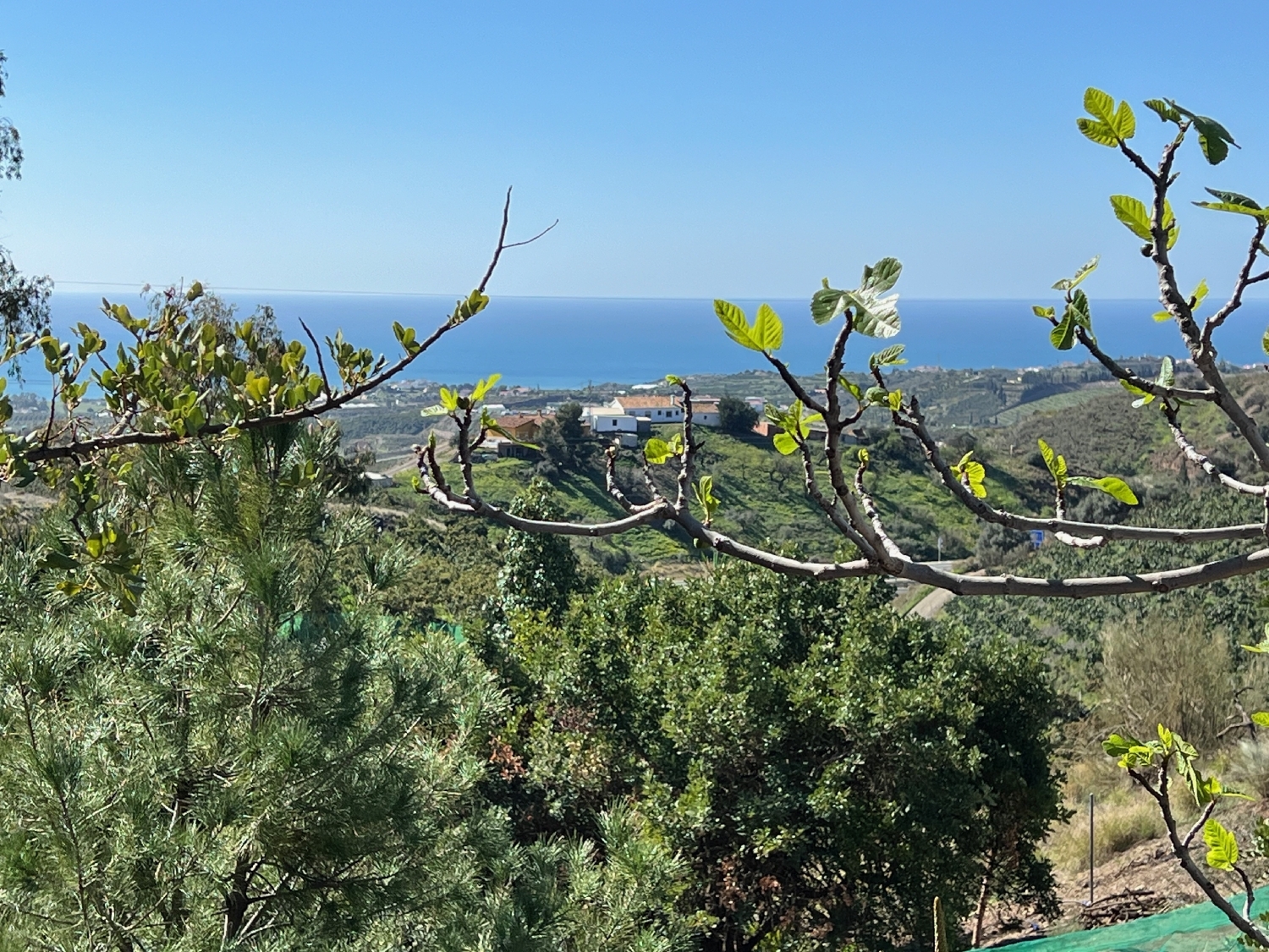  till salu villa Almayate Alto Axarquía 4