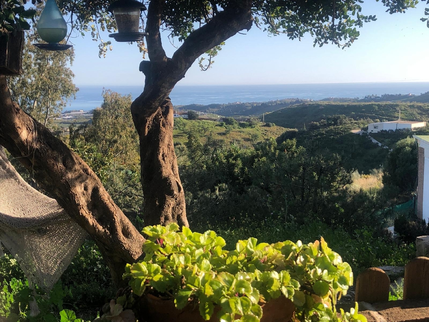  till salu villa Almayate Alto Axarquía 1