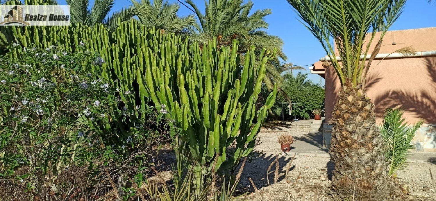  till salu villa Altabix Baix Vinalopó 8