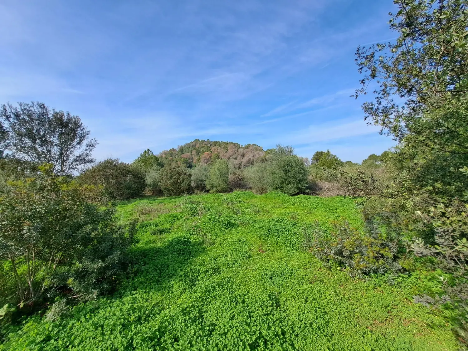  till salu villa Urbanización El Racó Ribera Alta 1