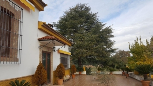 Andújar Campiña De Jaén villa foto 6237276