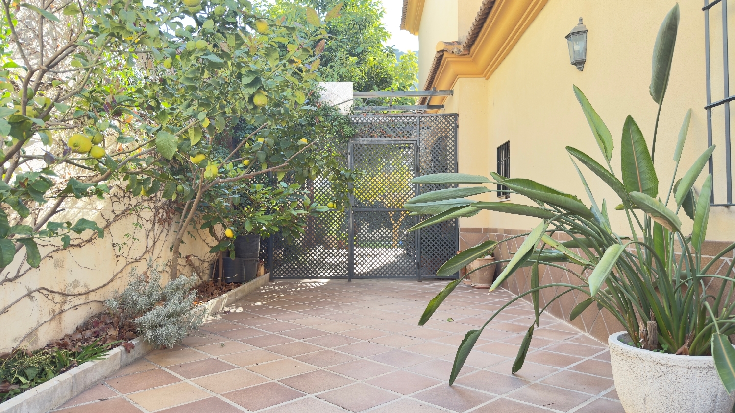  till salu villa Antequera Antequera 6