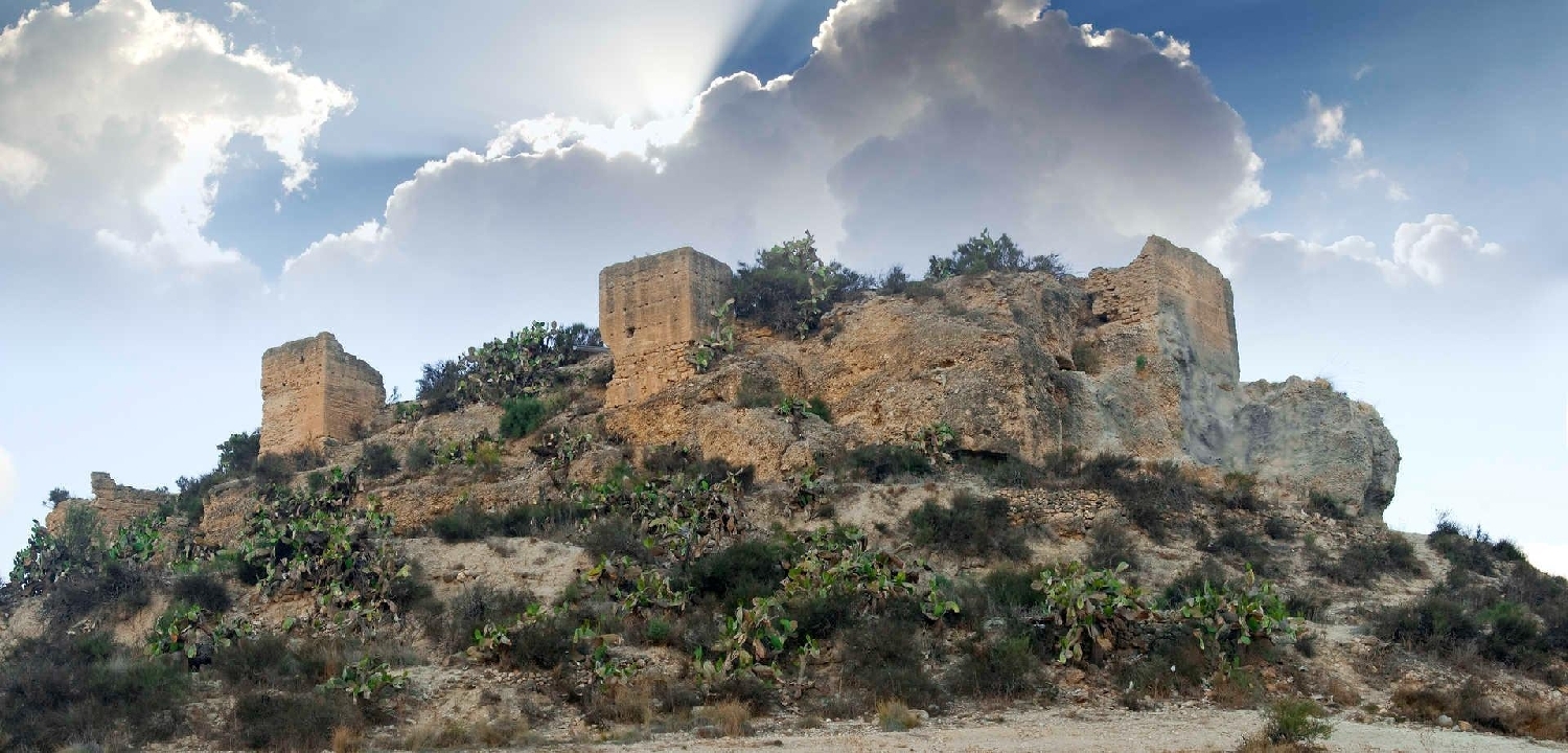  till salu villa Aspe Vinalopó Mitjà 8