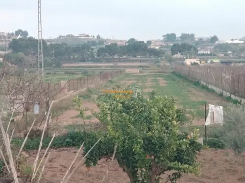 Aspe Vinalopó Mitjà Villa Bild 6180940