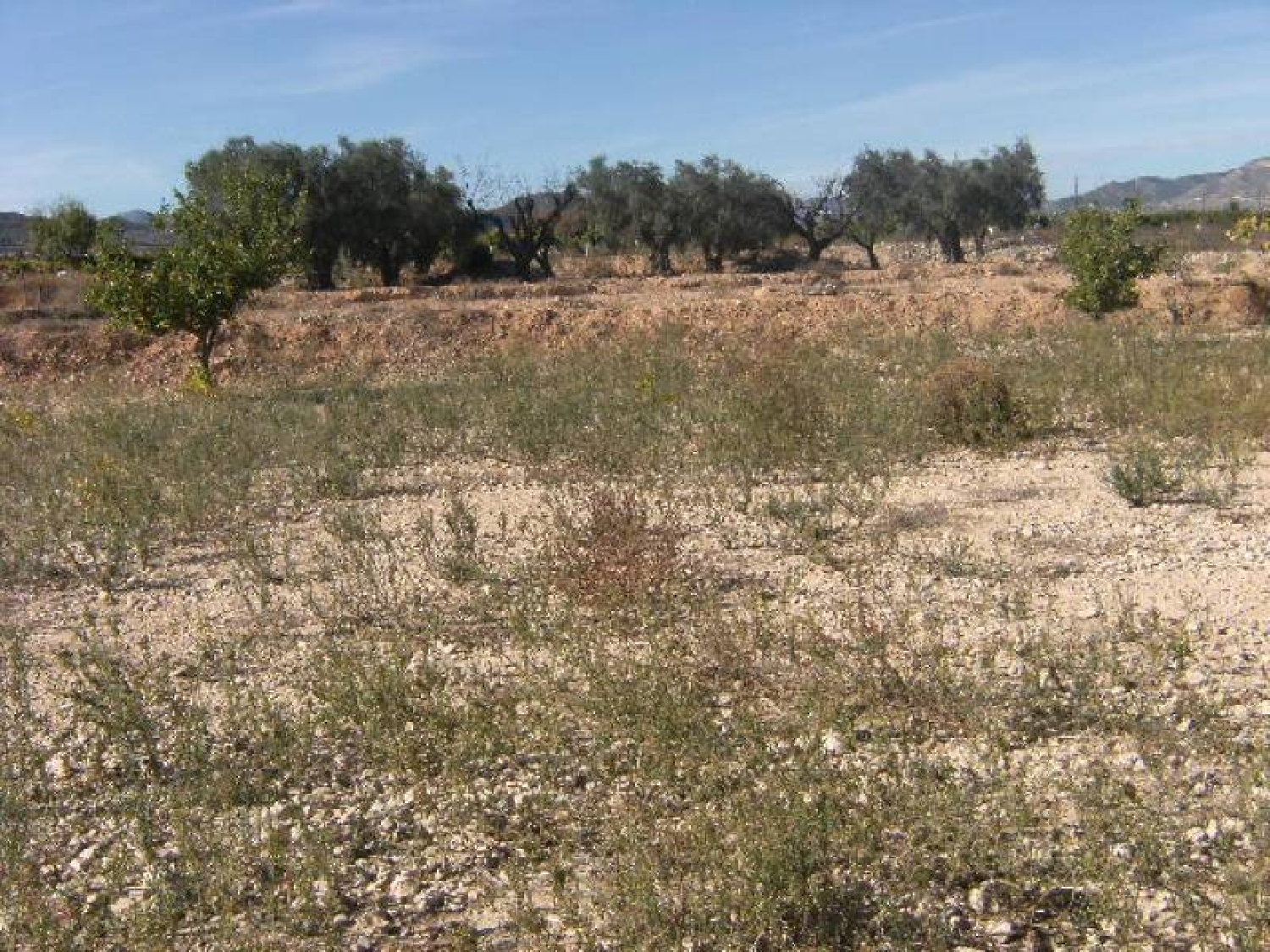  till salu villa Aspe Vinalopó Mitjà 5