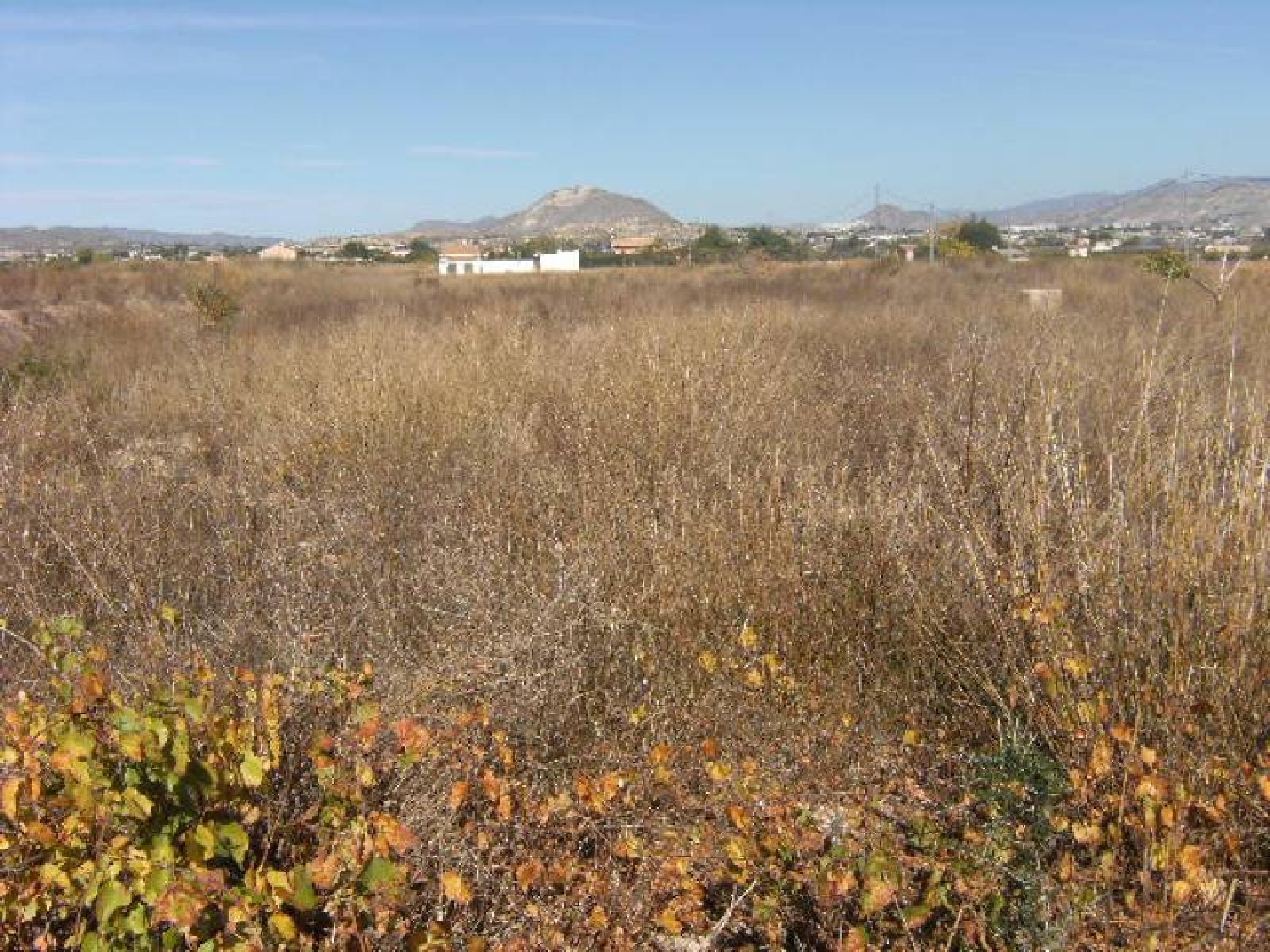  till salu villa Aspe Vinalopó Mitjà 8