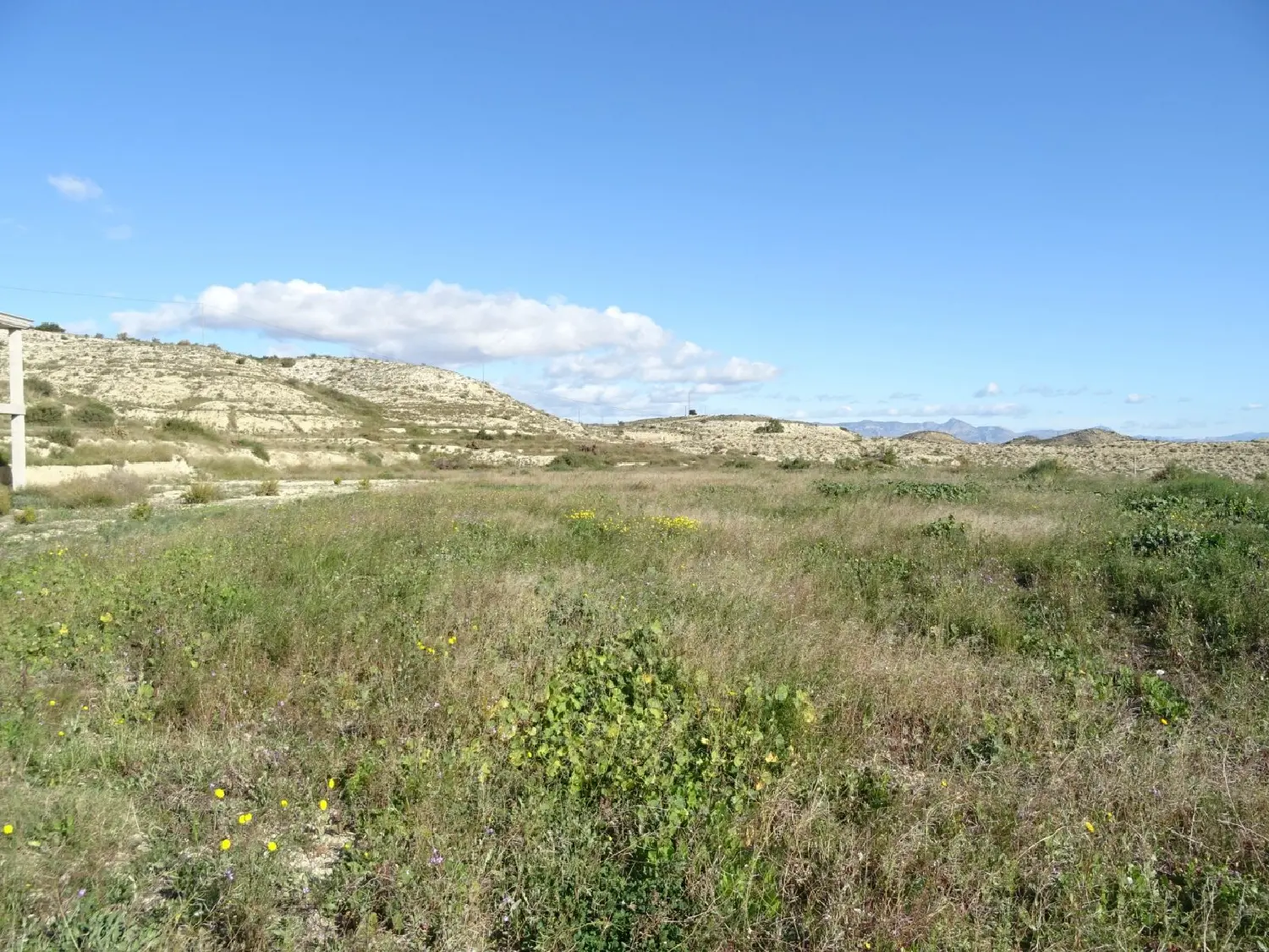  te koop villa Aspe Vinalopó Mitjà 5