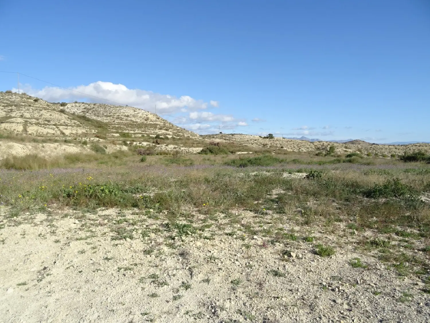  te koop villa Aspe Vinalopó Mitjà 6