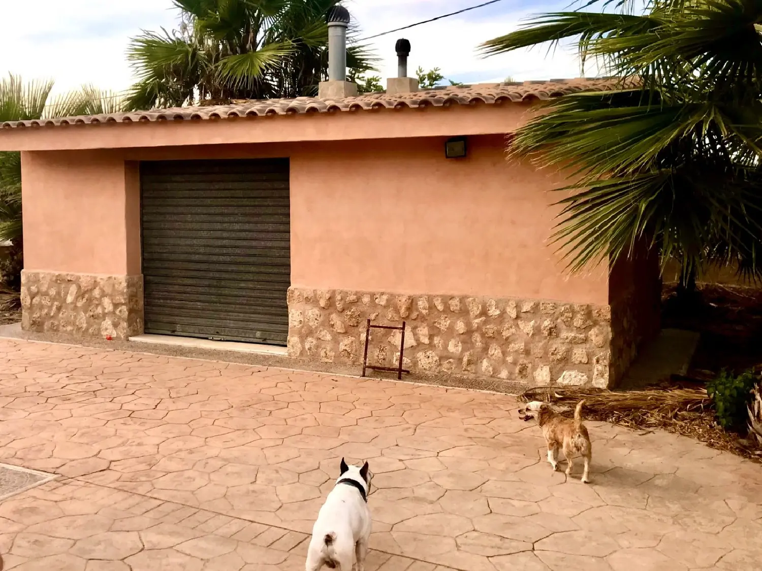  te koop villa Aspe Vinalopó Mitjà 4