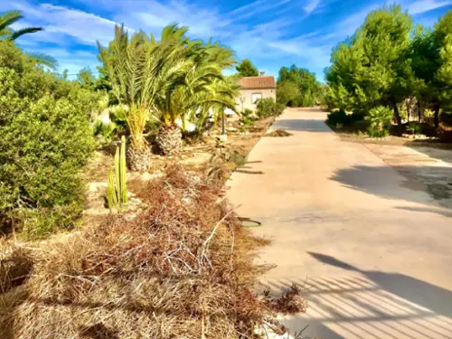 Aspe Vinalopó Mitjà Villa Bild 6191155