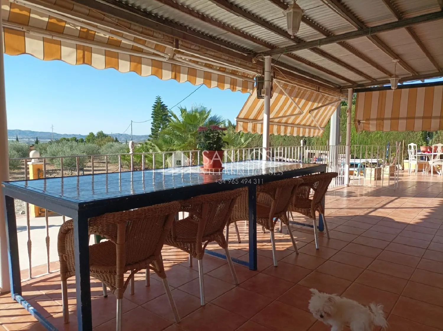  te koop villa Aspe Vinalopó Mitjà 6
