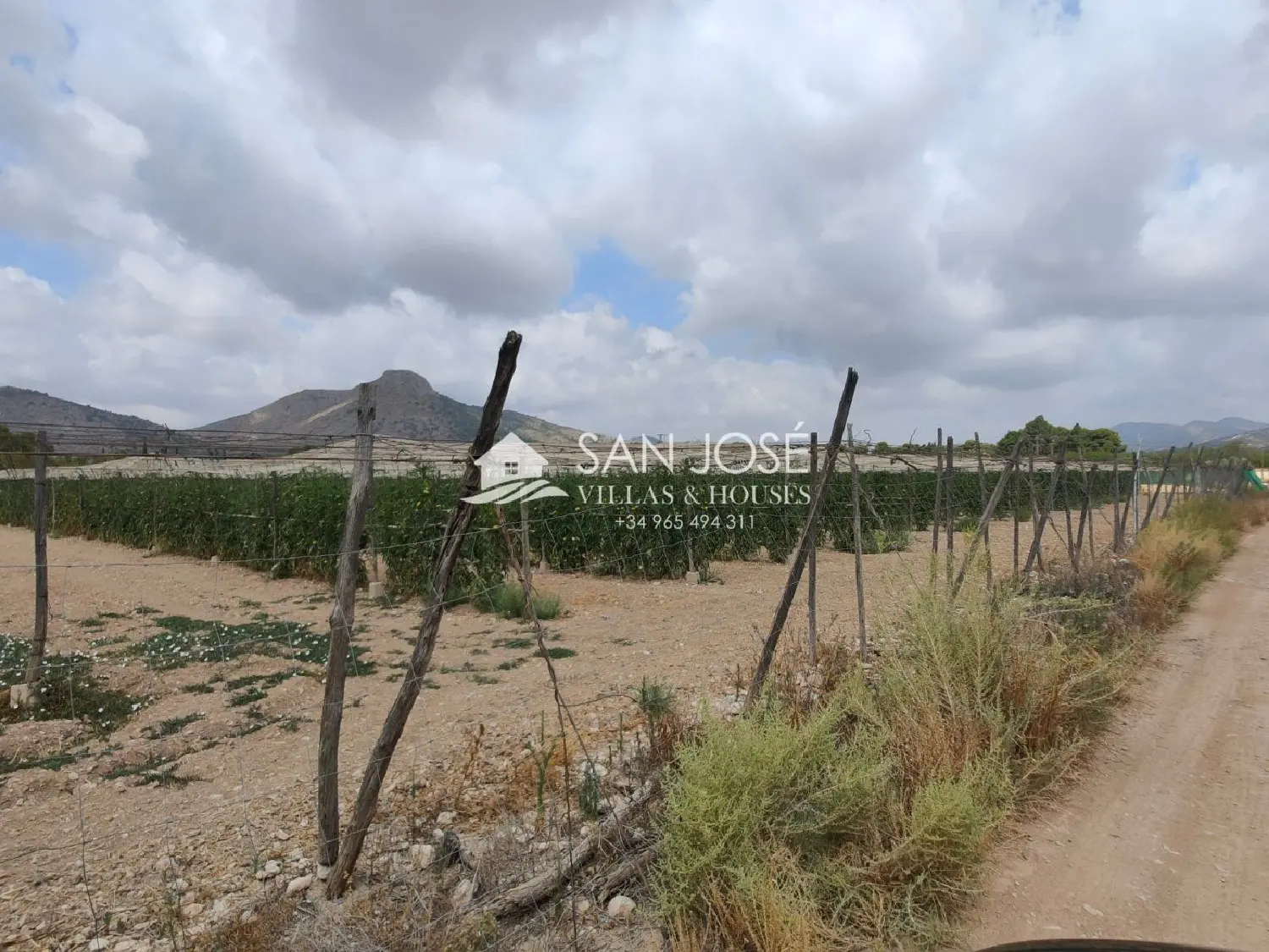 te koop villa Aspe Vinalopó Mitjà 2
