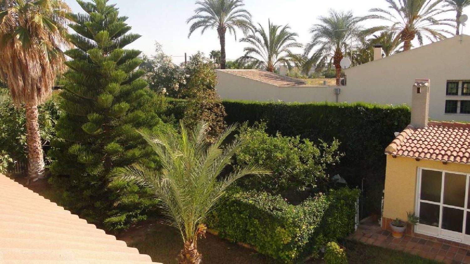  till salu villa Atsavares Baix Vinalopó 6