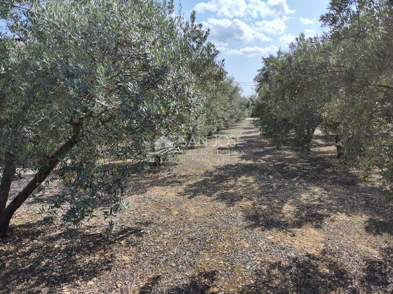  till salu villa Barbarroja Baix Segura 5