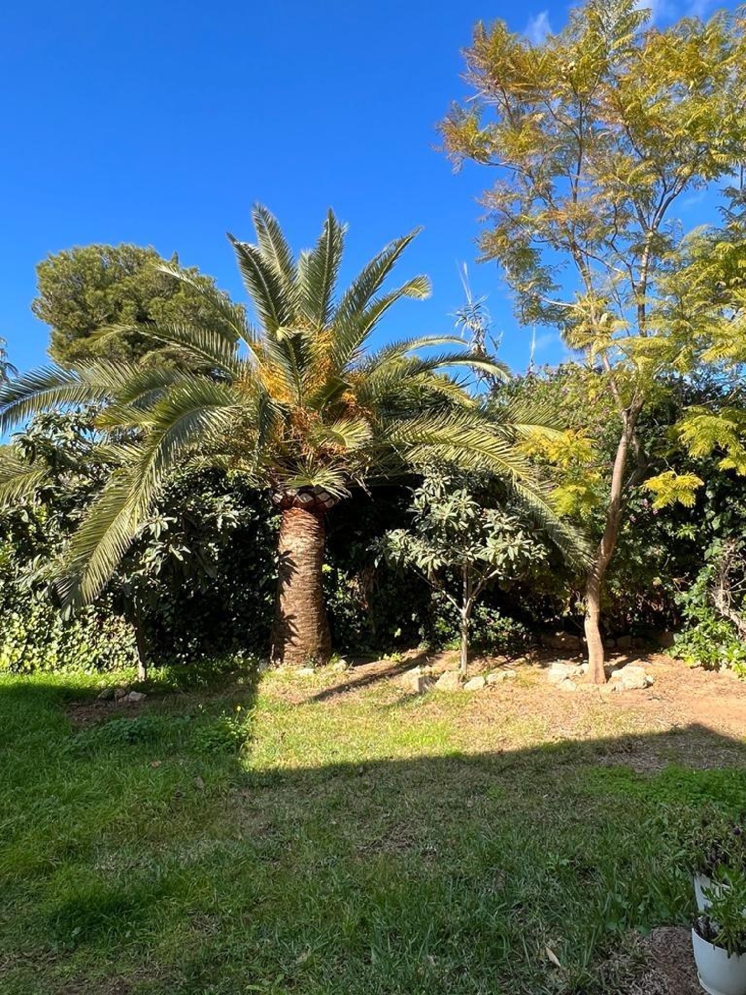  till salu villa Bendinat Ponent 3