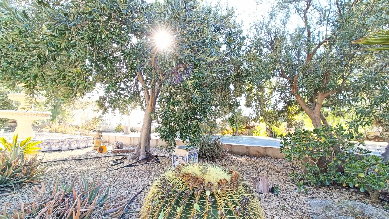  till salu villa Correntías Bajas Baix Segura 18