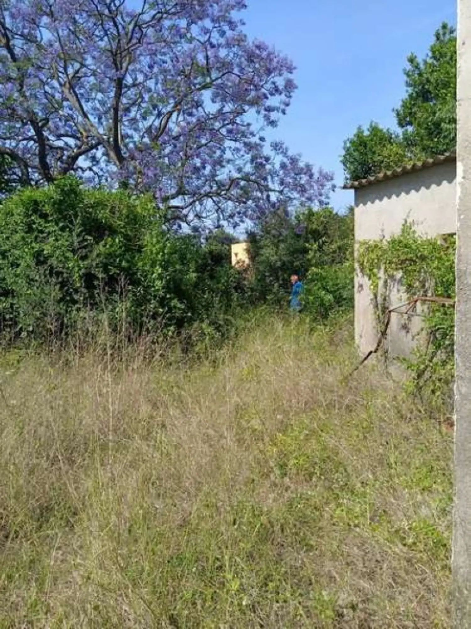  till salu villa Benicarló Baix Maestrat 1