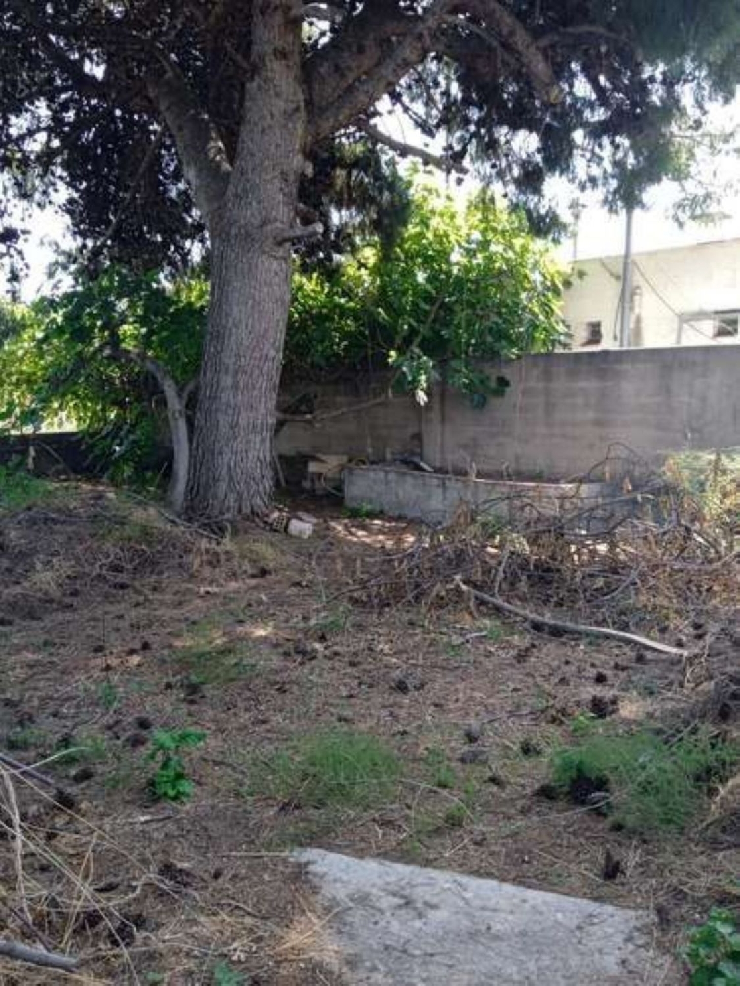  till salu villa Benicarló Baix Maestrat 4