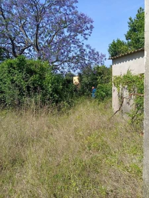 Benicarló Baix Maestrat villa foto 6220898