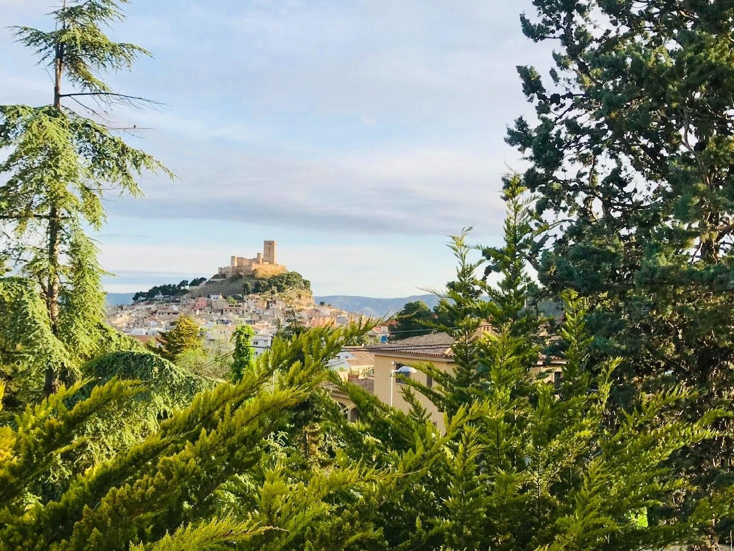  till salu villa Biar Alt Vinalopó 7