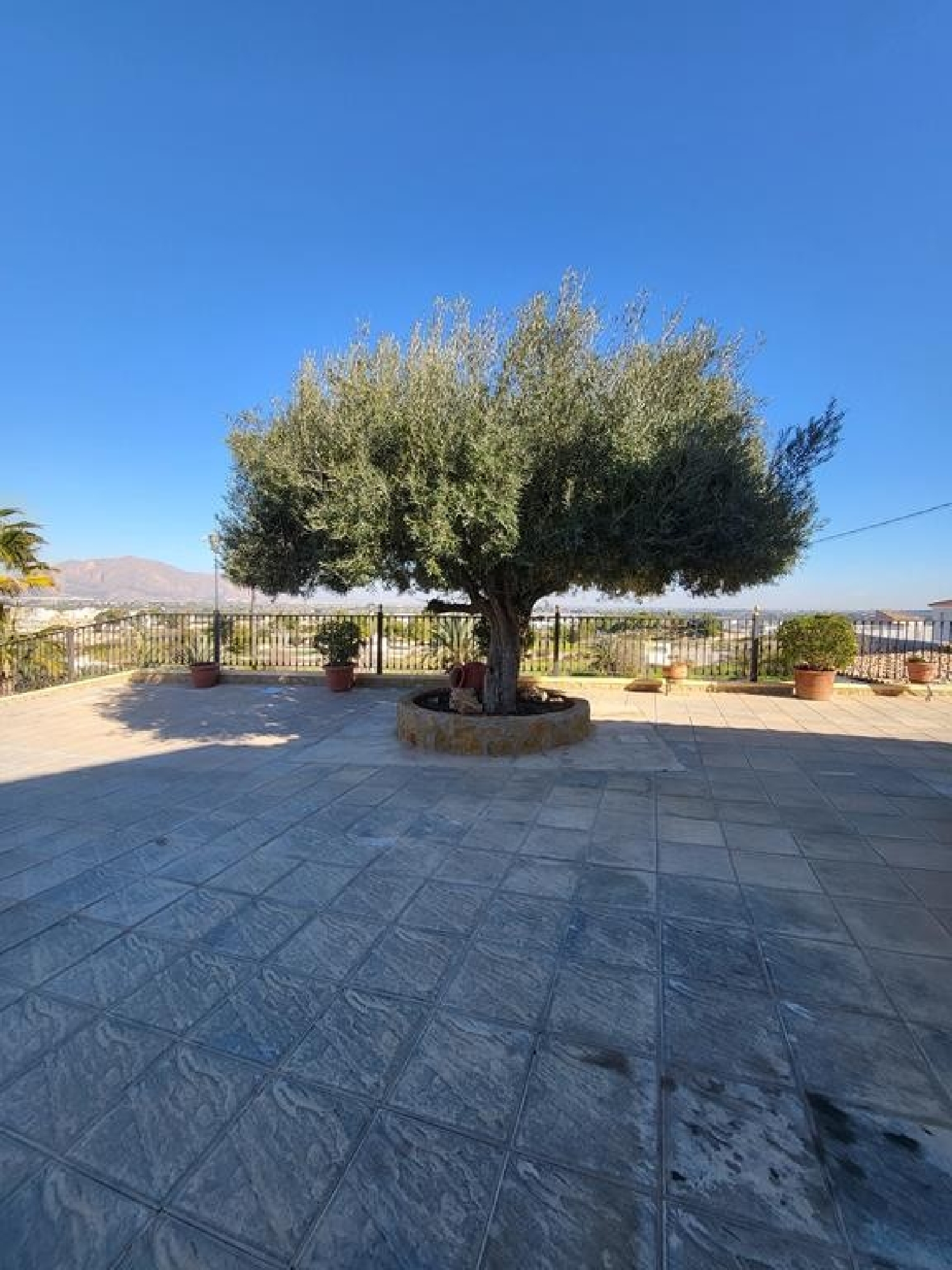  till salu villa Bigastro Baix Segura 5