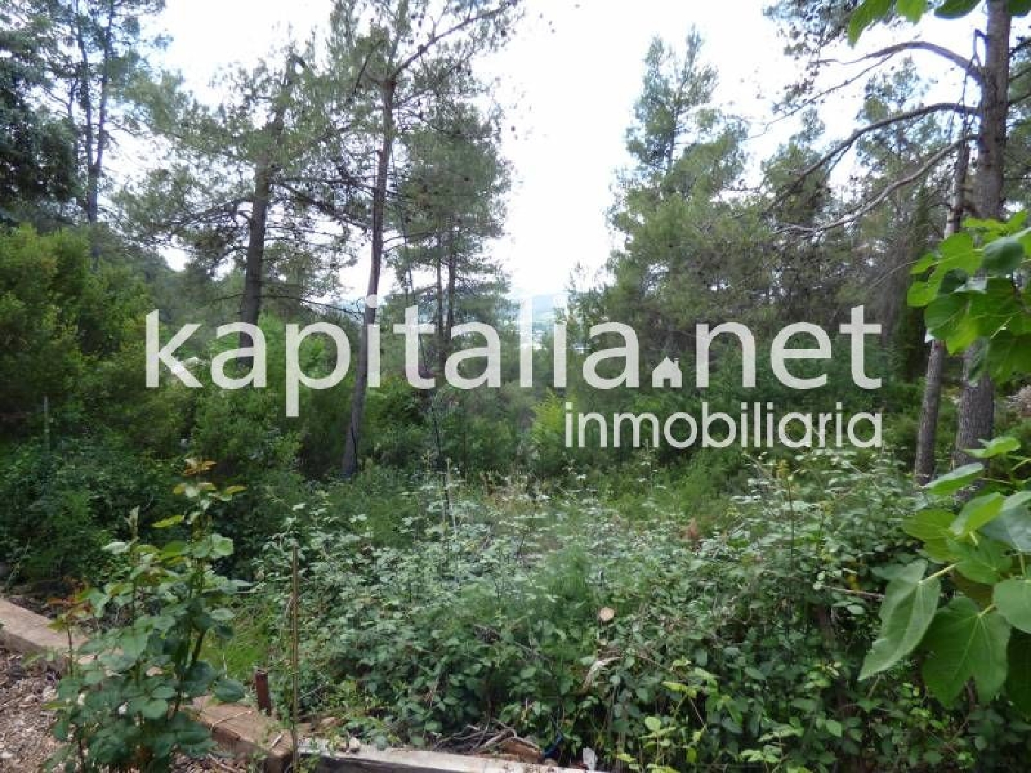  kaufen Villa Bocairent Vall D'albaida 6