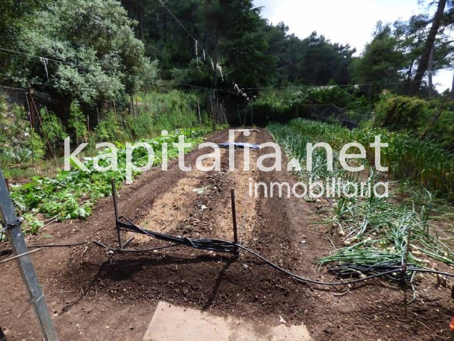  kaufen Villa Bocairent Vall D'albaida 4
