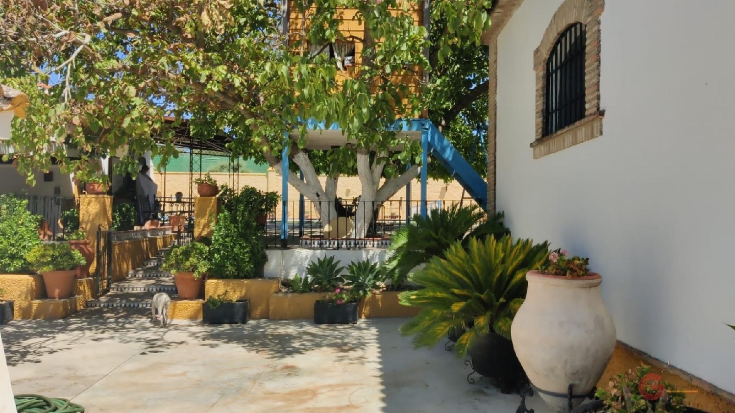  till salu villa Buenavista Campiña Sur 7
