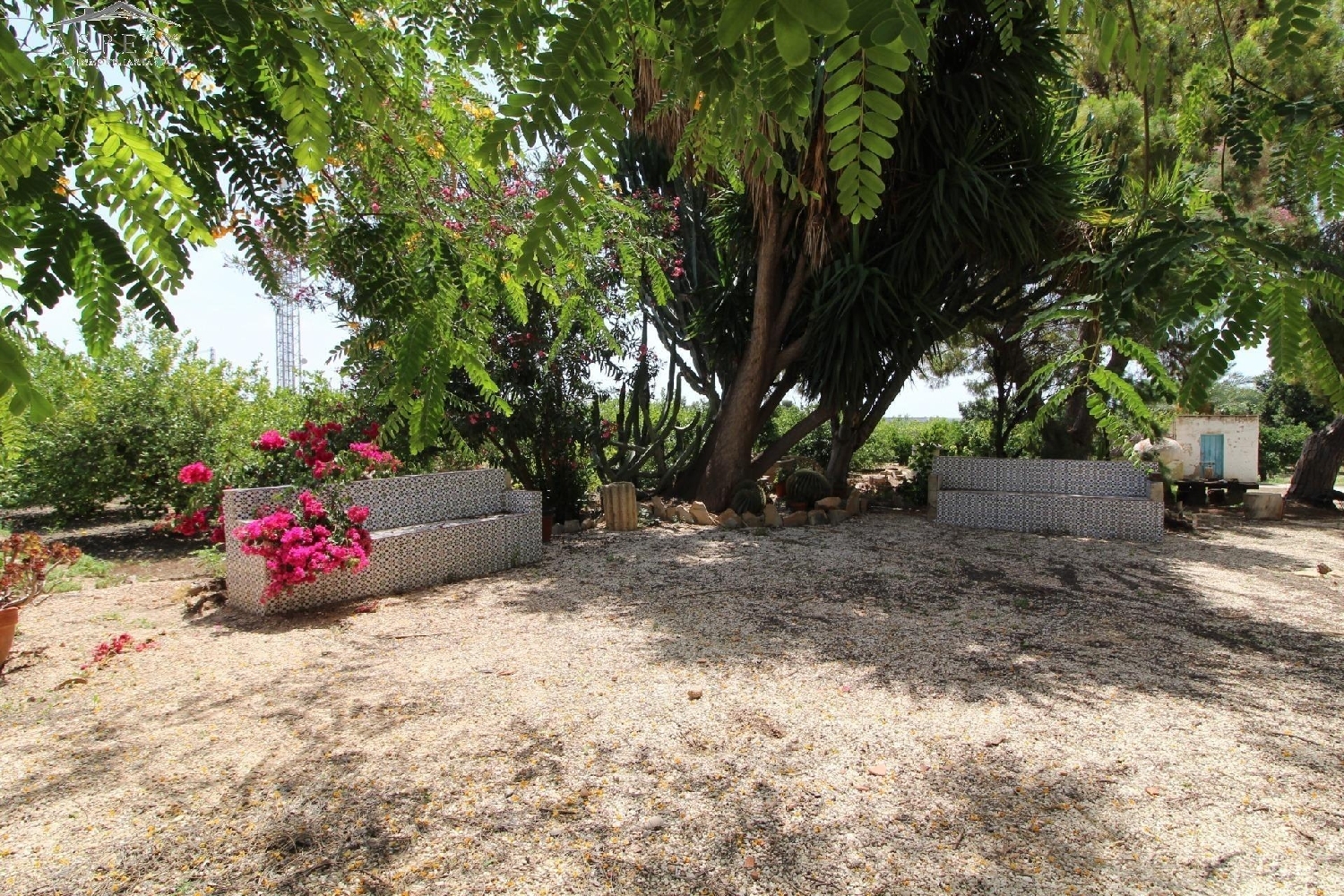  till salu villa Maitino Baix Vinalopó 7