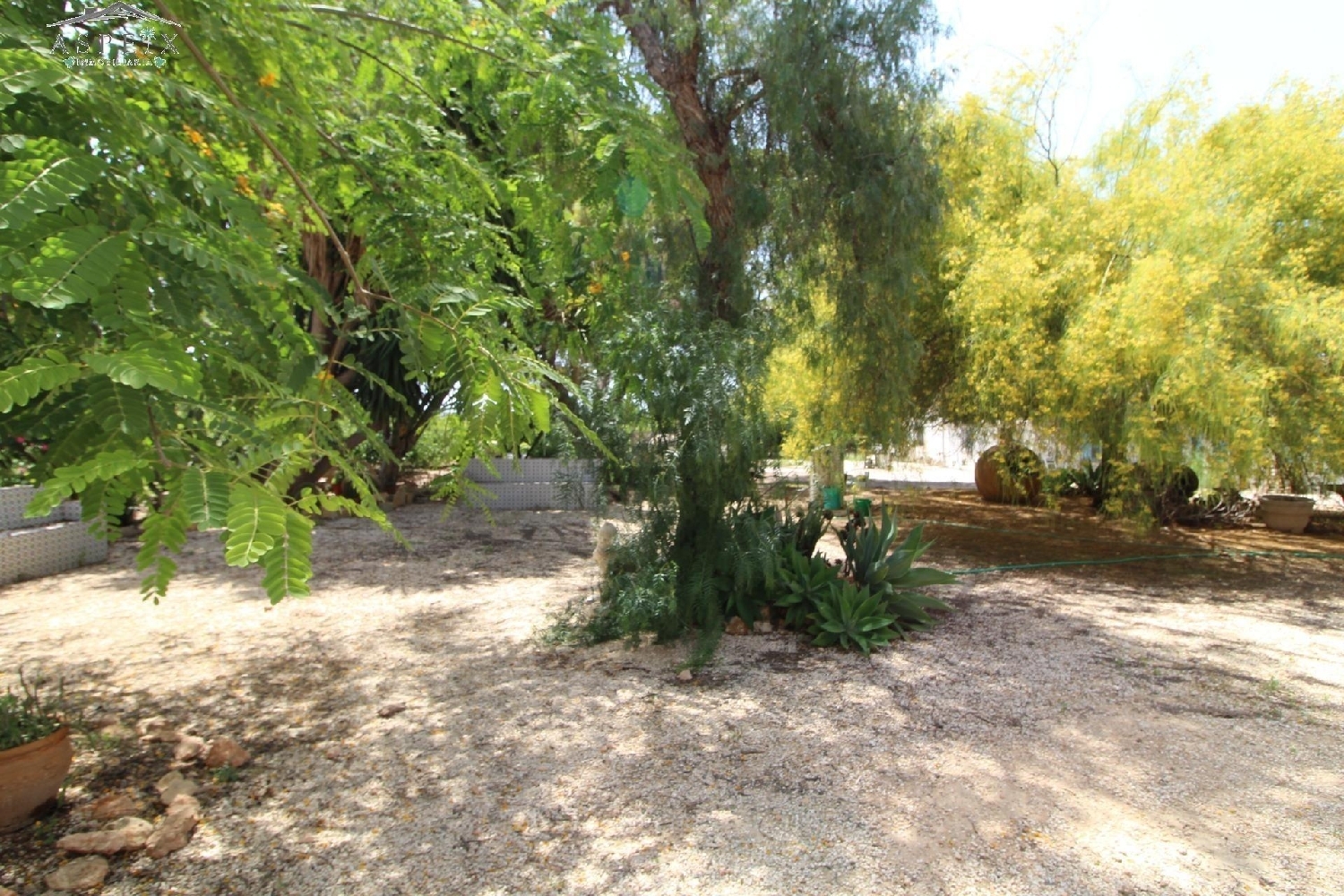  till salu villa Maitino Baix Vinalopó 6