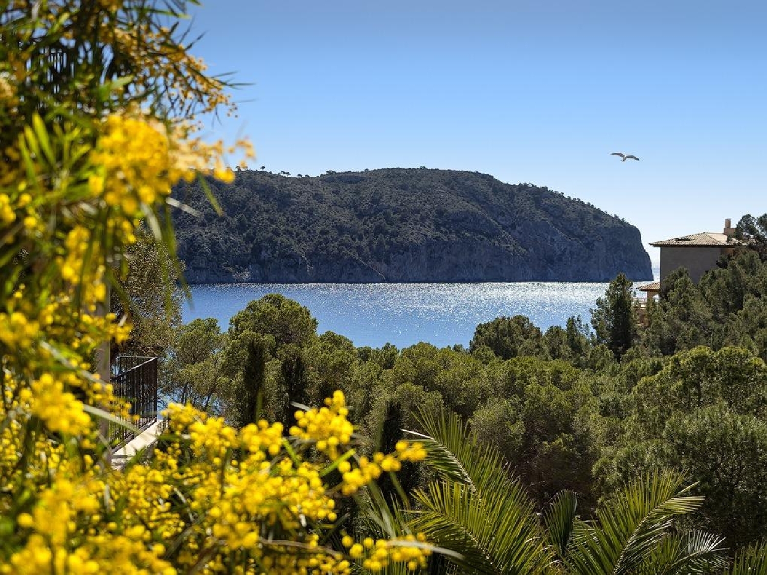  till salu villa Camp De Mar Ponent 5