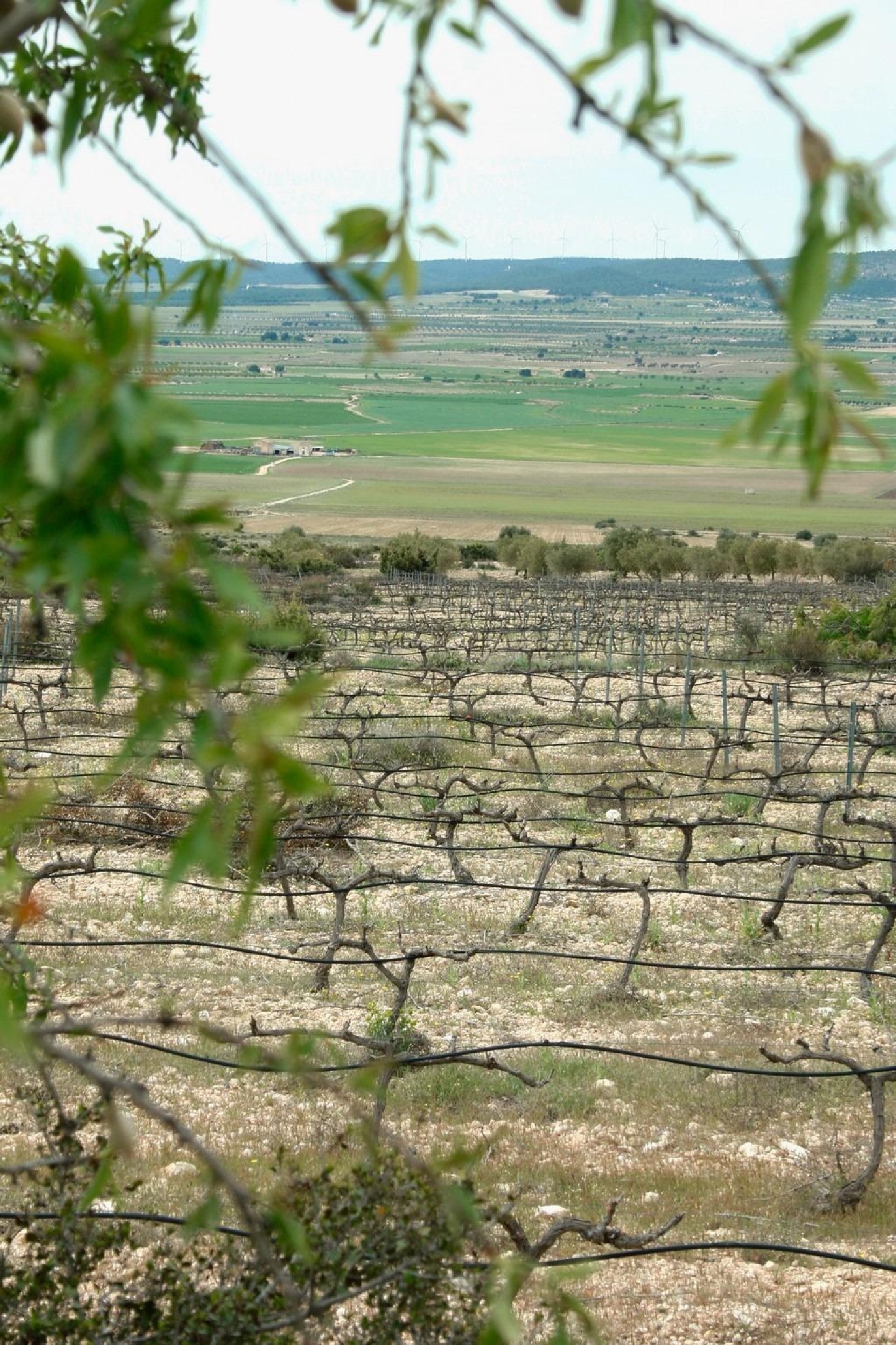  till salu villa Campo Abajo Altiplano 34