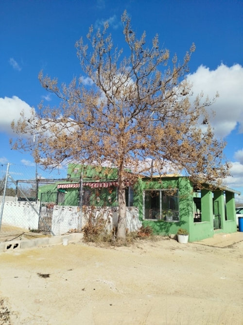 Campo Arriba Altiplano villa foto 6233954