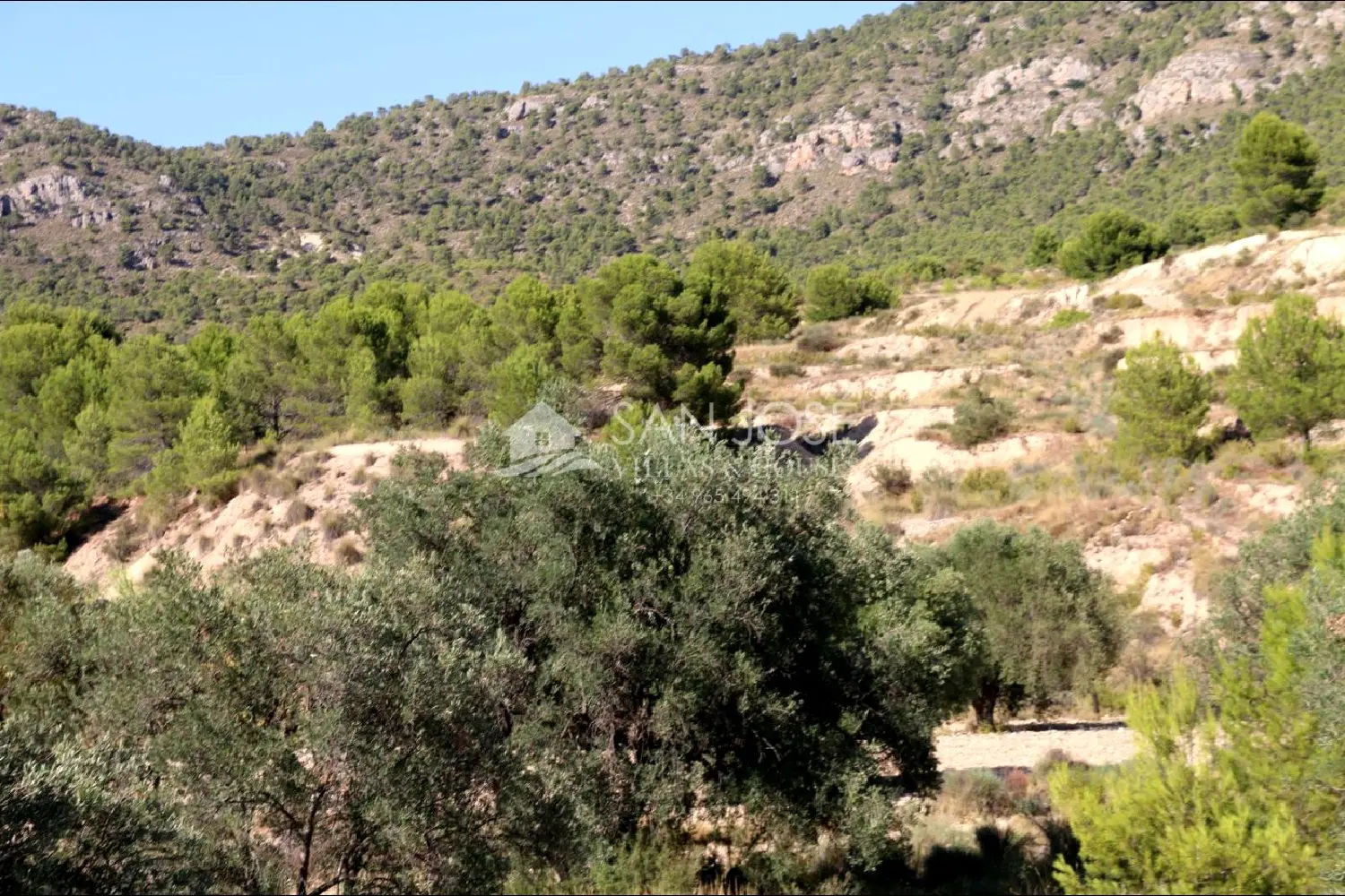  till salu villa Mil Palmeras Baix Segura 1