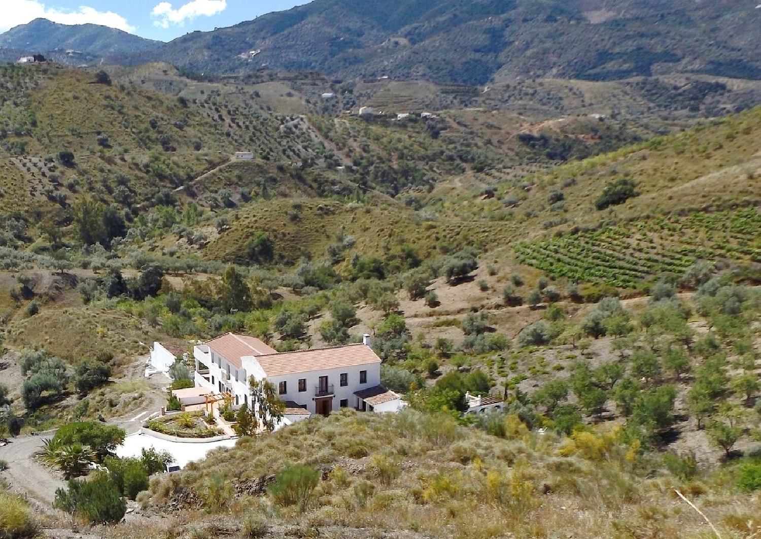 till salu villa Canillas De Aceituno Axarquía 3