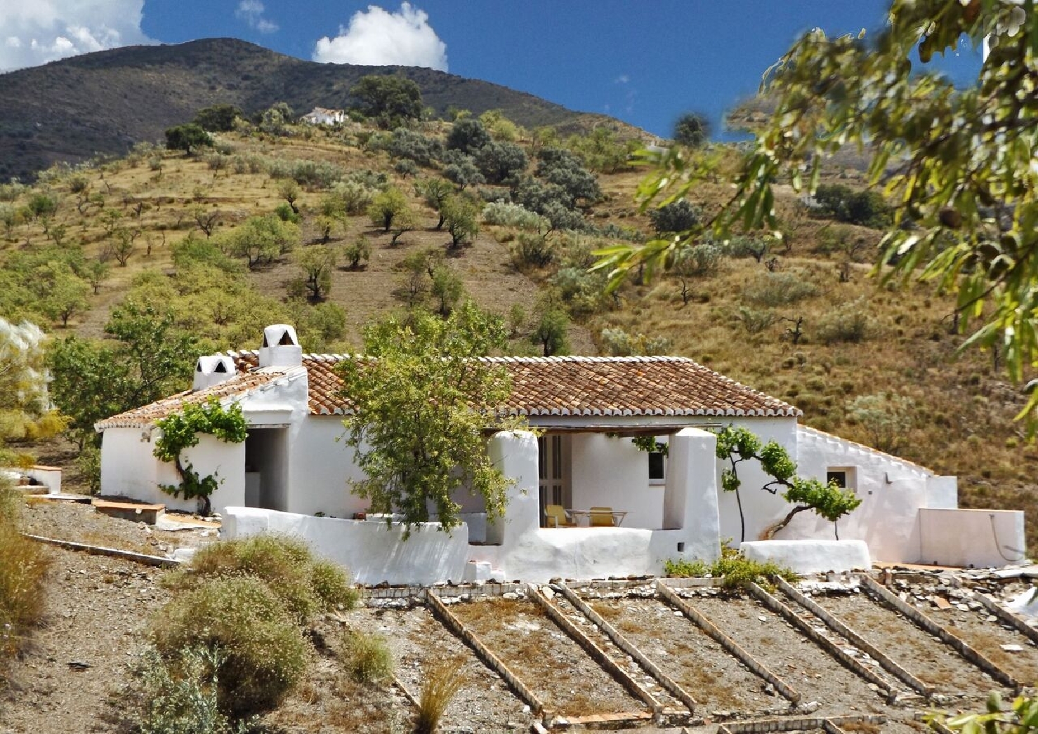  till salu villa Canillas De Aceituno Axarquía 5