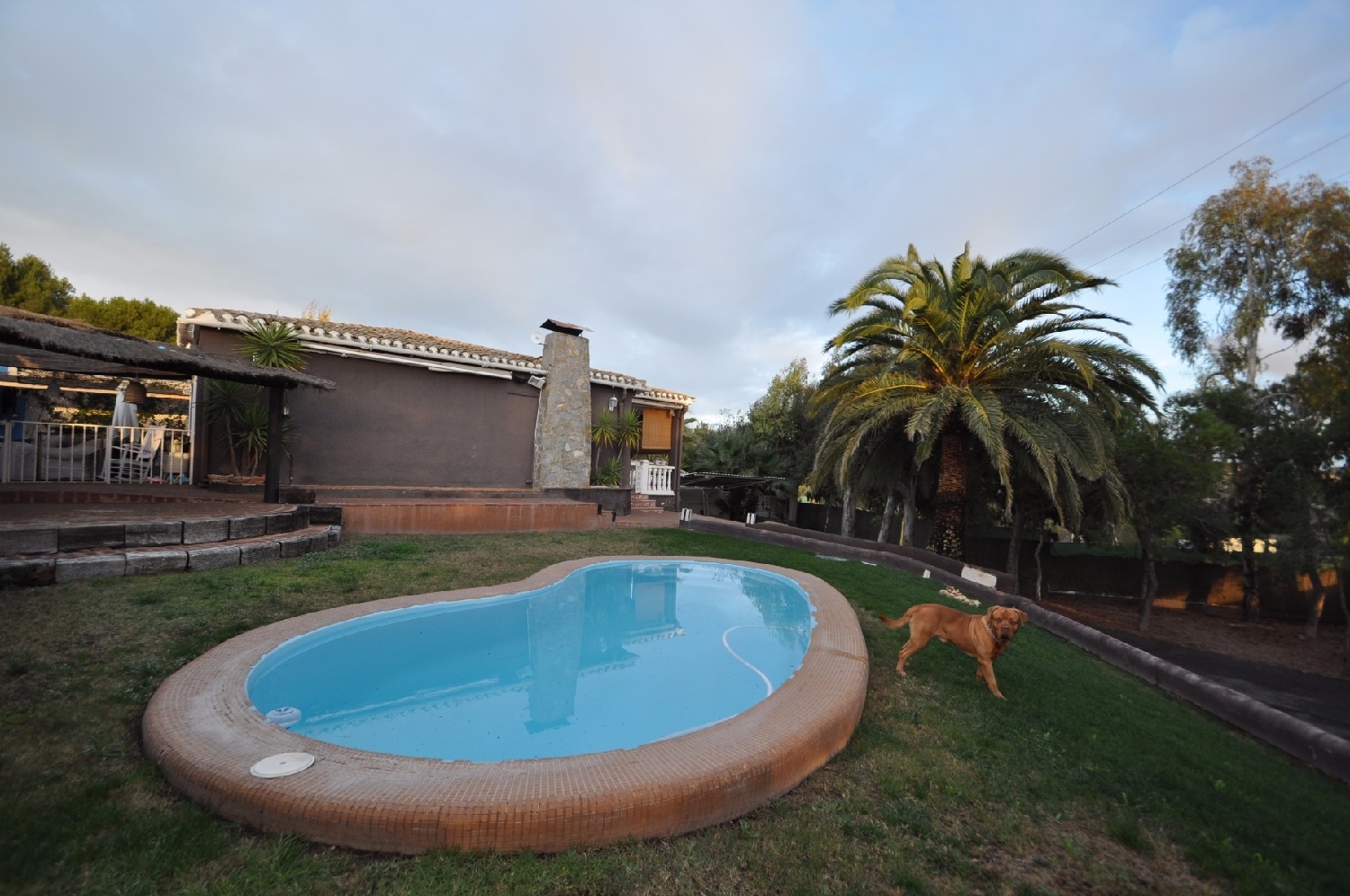  till salu villa Canyades D'en Cirus Vinalopó Mitjà 4