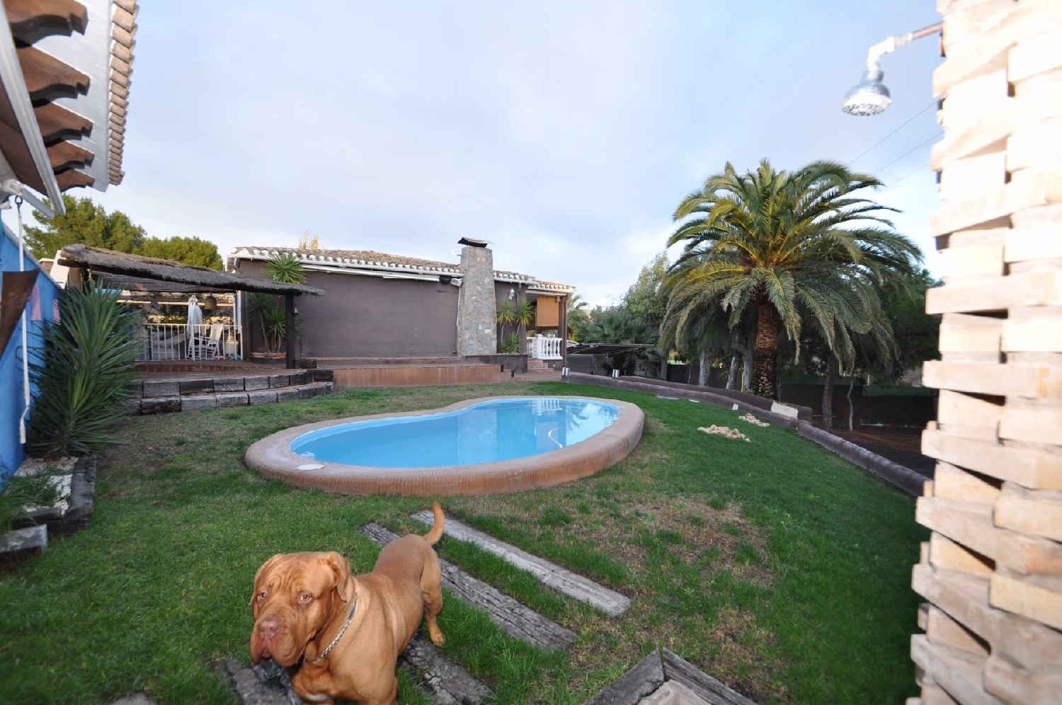 till salu villa Canyades D'en Cirus Vinalopó Mitjà 3