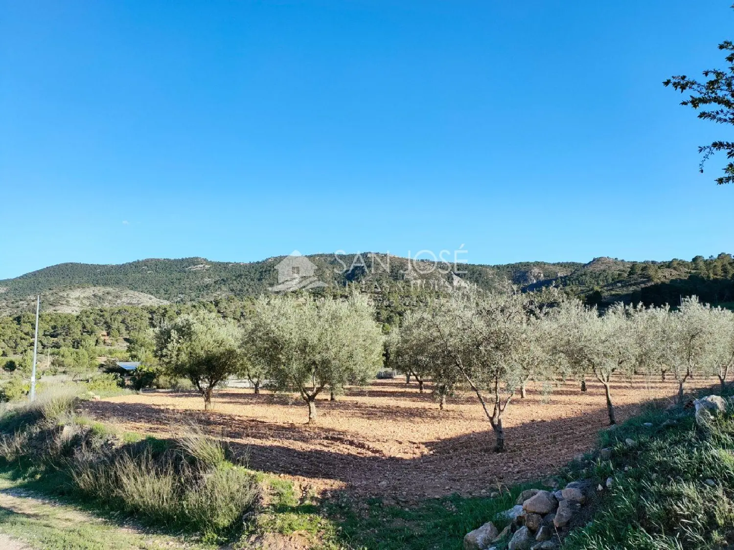  till salu villa Manya Vinalopó Mitjà 1