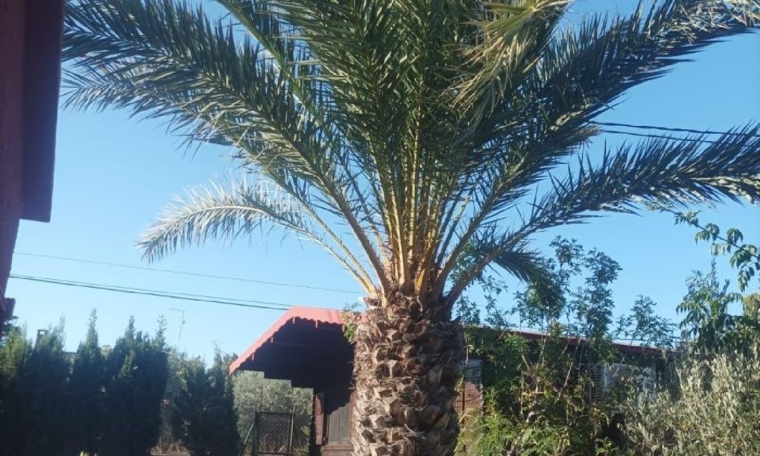  till salu villa Carrús Oest Baix Vinalopó 7
