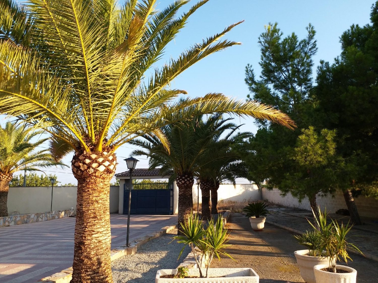  till salu villa Casas De Terol Alacantí 5