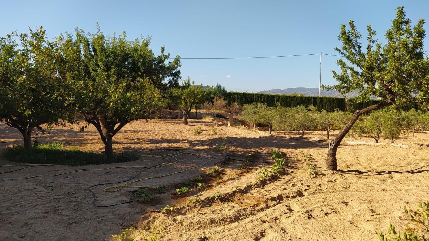  till salu villa Cases Joan Blanco Vinalopó Mitjà 8