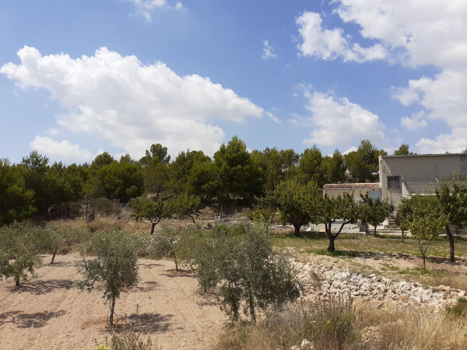  till salu villa Cases Joan Blanco Vinalopó Mitjà 6